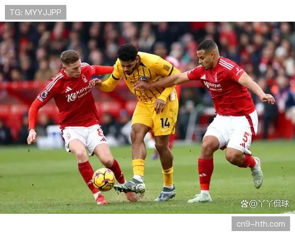 布莱顿1-0小胜谢菲联，继续保持对欧战区的冲击